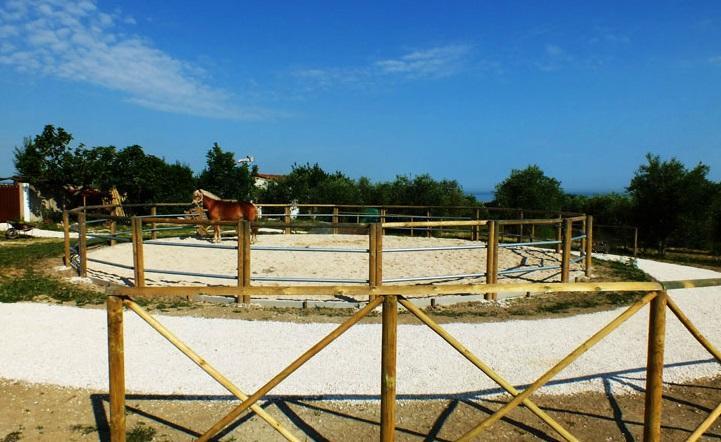Agriturismo La Casa Della Lavanda - Il Rustico Marina di Montemarciano Luaran gambar