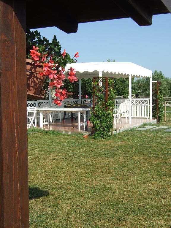 Agriturismo La Casa Della Lavanda - Il Rustico Marina di Montemarciano Luaran gambar