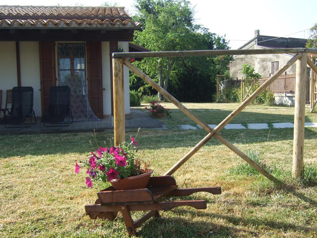 Agriturismo La Casa Della Lavanda - Il Rustico Marina di Montemarciano Luaran gambar